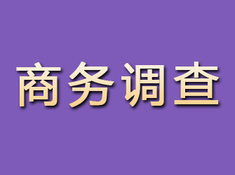 嵩县商务调查